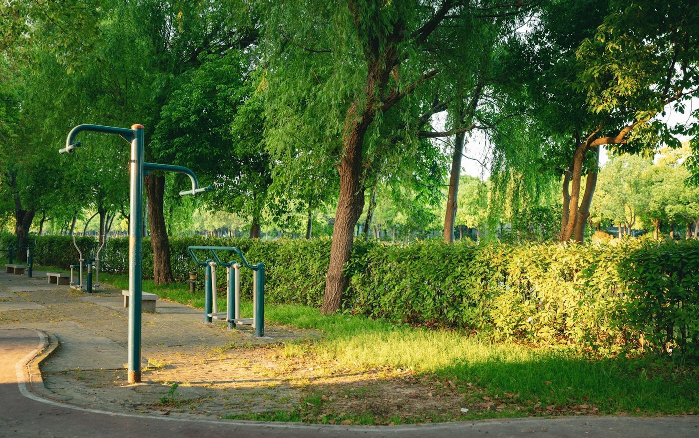 Outdoor exercise equipment along a path in a green park
